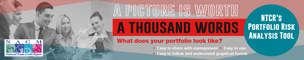 Natiional Trade Credit Report