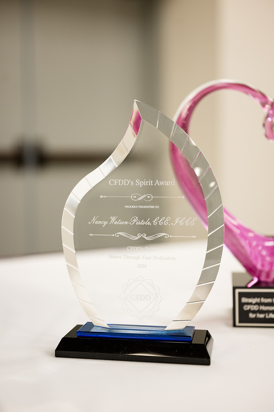 120-Spirit-Award-Nancy-Watson-Pistole-June-11-Z8A 7940 web