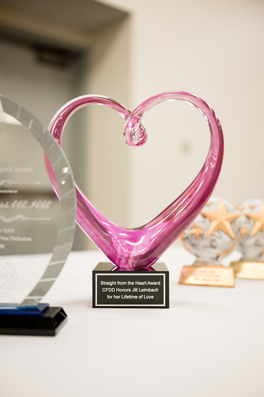 130-Heart-Award-Jill-Leimbach-June-11-Z8A 7939 web